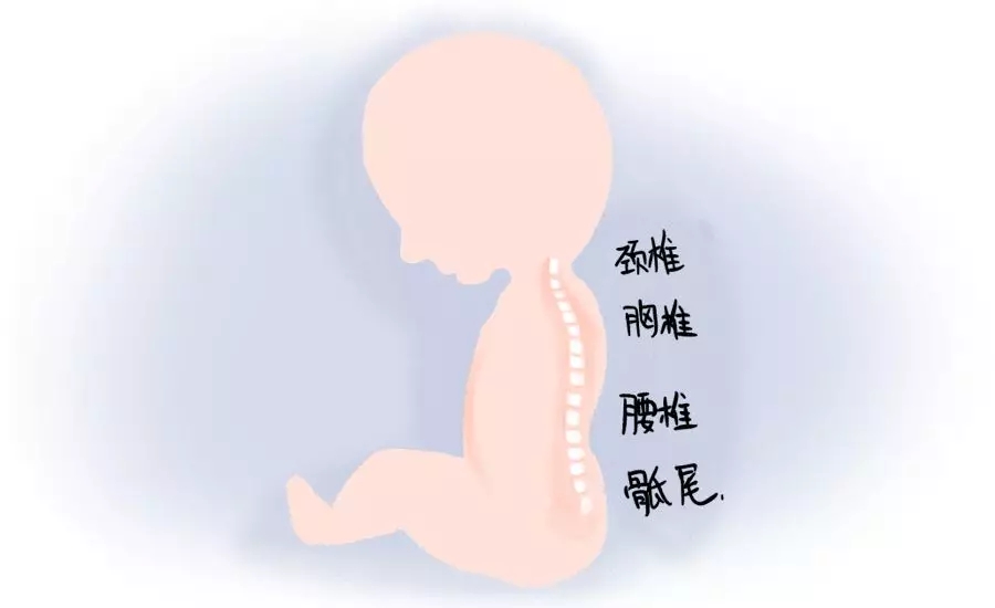 һڰʺƪһҪ1.webp.jpg